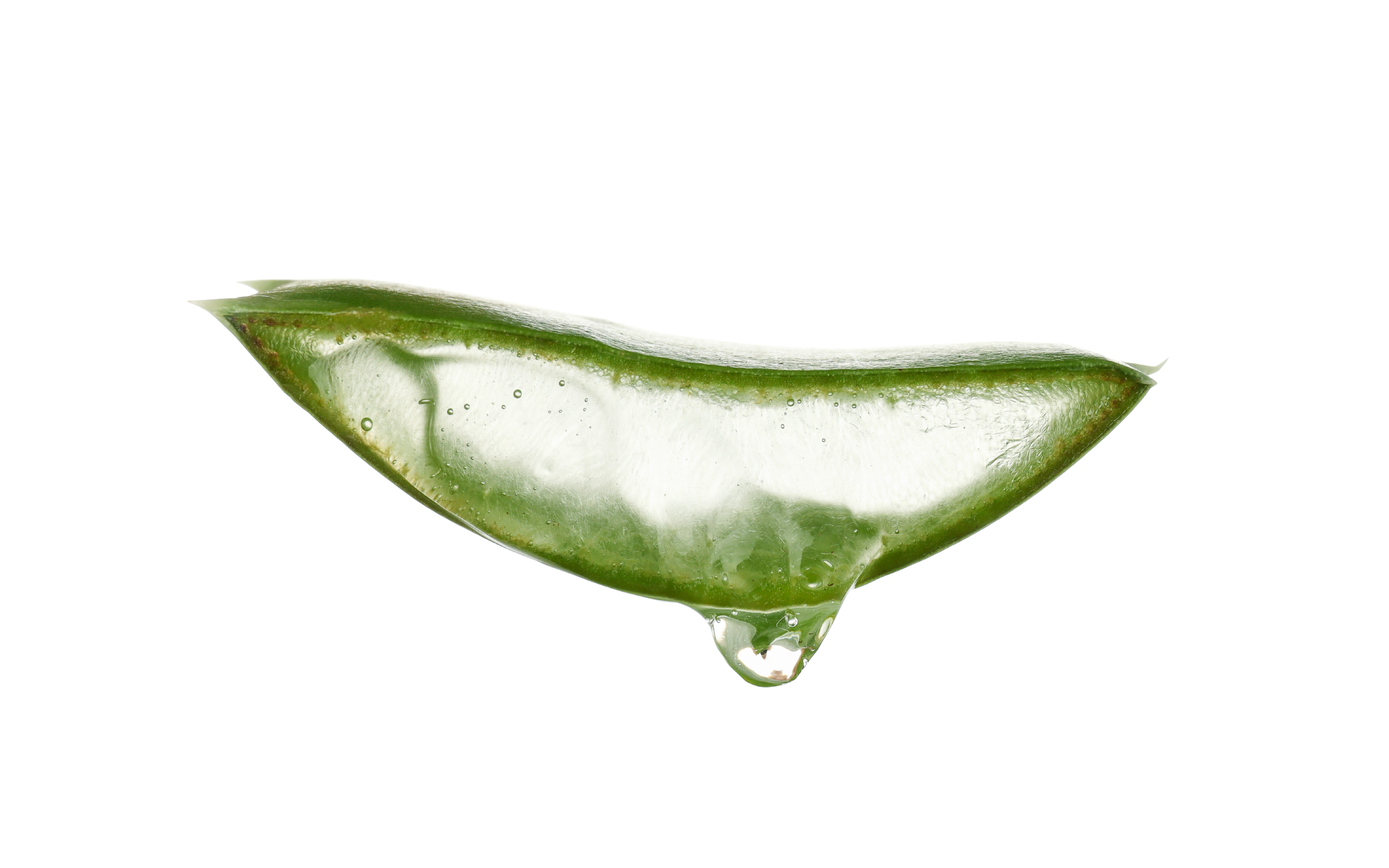 Sliced aloe vera leaf with clear gel on a white background